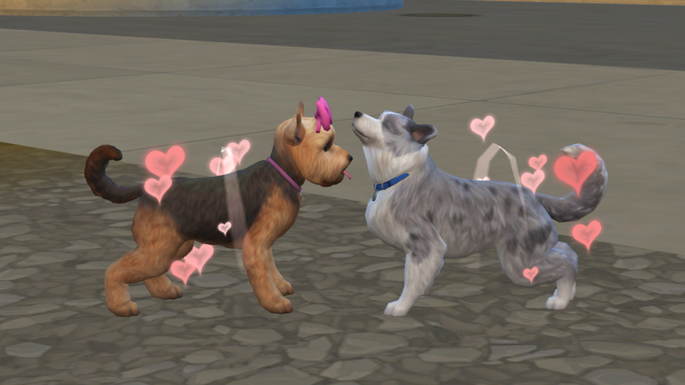 How To Make Cats Mate Sims 4