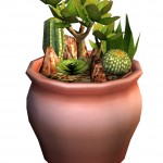 sims2manpcrendcactus garden