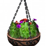 sims2manpcrendhanging flowers red