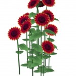 sims2manpcrendsunflowers