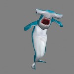 beach shark