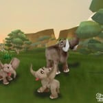 elephants babies