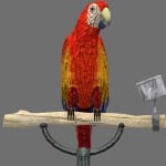 parrot red2