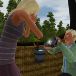 ts3 store aurora skies proposal 2