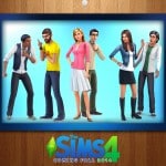 ts4wall1