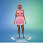 TS4CAS 2014 07 10 16 14 10 61