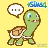 12748212 1163816830317780 1406066054 n