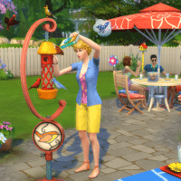 TS4 SP8 Screenshot 2