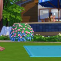 The Sims 4 Backyard Stuff Official Trailer 096