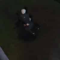 The Sims 4 Vampires Official Vampire Powers Gameplay Trailer 106