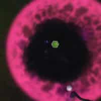 The Sims 4 Vampires Official Vampire Powers Gameplay Trailer 110