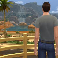 MTS Shimrod101 1456266 DoF22