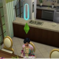 TS4 x64 2017 07 31 15 14 04 26