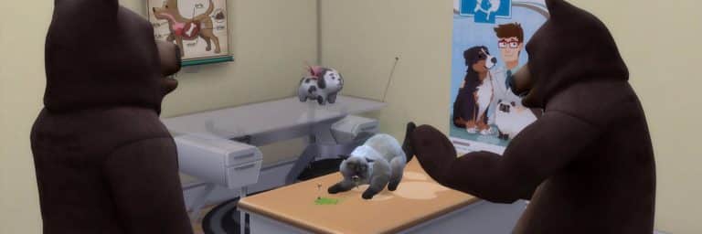 The Sims 4 Cats & Dogs: New Vet Pictures by SimGuruEmory