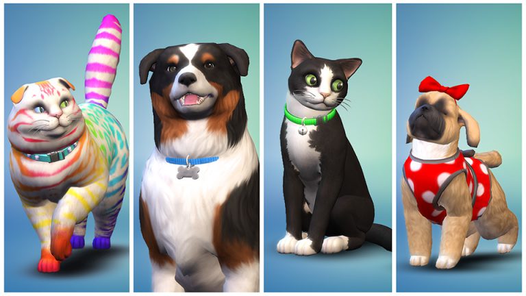 The Sims 4 Cats & Dogs: NEW SCREEN!