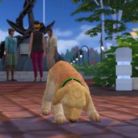 The Sims 4 Cats Dogs Official Reveal Trailer 001