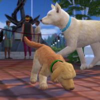 The Sims 4 Cats Dogs Official Reveal Trailer 005