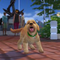 The Sims 4 Cats Dogs Official Reveal Trailer 008