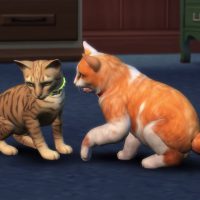 The Sims 4 Cats Dogs Official Reveal Trailer 009