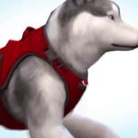 The Sims 4 Cats Dogs Official Reveal Trailer 032