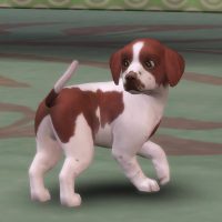 The Sims 4 Cats Dogs Official Reveal Trailer 042