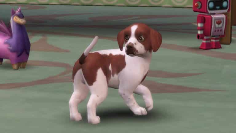 SimGuruGrant talks Neutering in The Sims 4 Cats & Dogs