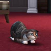 The Sims 4 Cats Dogs Official Reveal Trailer 114