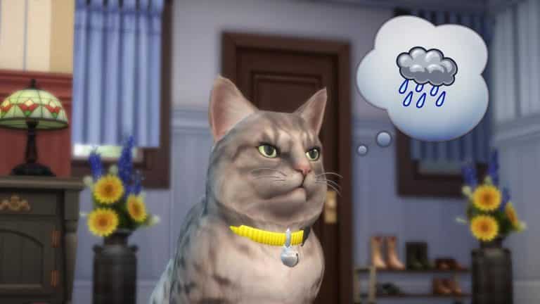 Speculation: Possible Hints For Seasons in The Sims 4 Cats & Dogs Trailer