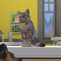 The Sims 4 Cats Dogs Official Reveal Trailer 136