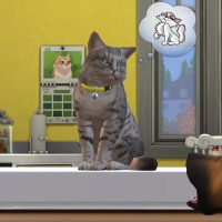 The Sims 4 Cats Dogs Official Reveal Trailer 141