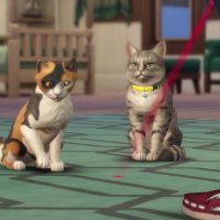 The Sims 4 Cats Dogs Official Reveal Trailer 142