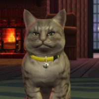 The Sims 4 Cats Dogs Official Reveal Trailer 149