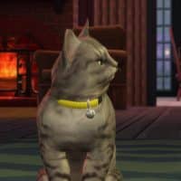 The Sims 4 Cats Dogs Official Reveal Trailer 152