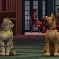 The Sims 4 Cats Dogs Official Reveal Trailer 154