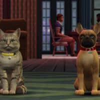 The Sims 4 Cats Dogs Official Reveal Trailer 158