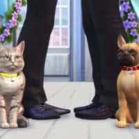 The Sims 4 Cats Dogs Official Reveal Trailer 161