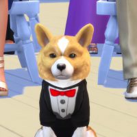 The Sims 4 Cats Dogs Official Reveal Trailer 169