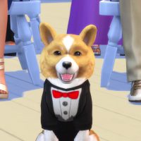 The Sims 4 Cats Dogs Official Reveal Trailer 170