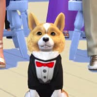 The Sims 4 Cats Dogs Official Reveal Trailer 173