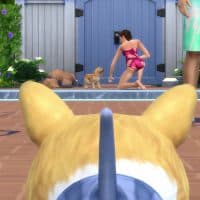 The Sims 4 Cats Dogs Official Reveal Trailer 174