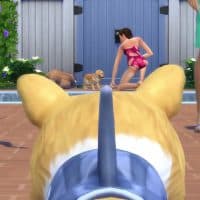 The Sims 4 Cats Dogs Official Reveal Trailer 176