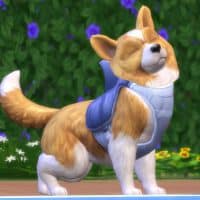 The Sims 4 Cats Dogs Official Reveal Trailer 177