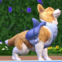 The Sims 4 Cats Dogs Official Reveal Trailer 180