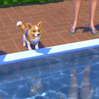 The Sims 4 Cats Dogs Official Reveal Trailer 182