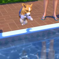 The Sims 4 Cats Dogs Official Reveal Trailer 183