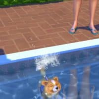 The Sims 4 Cats Dogs Official Reveal Trailer 184