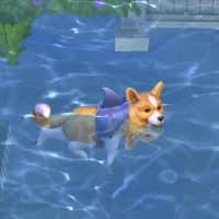 The Sims 4 Cats Dogs Official Reveal Trailer 186