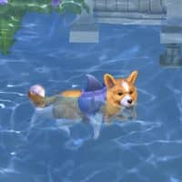 The Sims 4 Cats Dogs Official Reveal Trailer 188