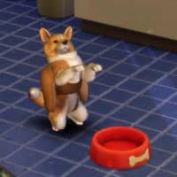 The Sims 4 Cats Dogs Official Reveal Trailer 196