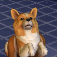 The Sims 4 Cats Dogs Official Reveal Trailer 199